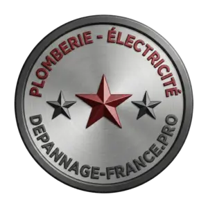Depannage France LOGO
